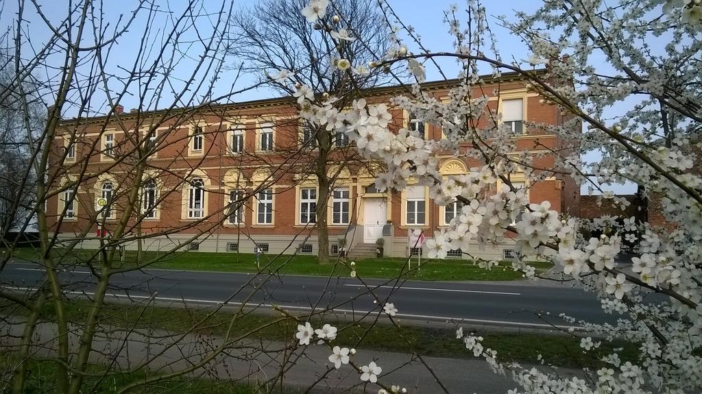 Pension Zum Engel Hotel Maagdenburg Buitenkant foto