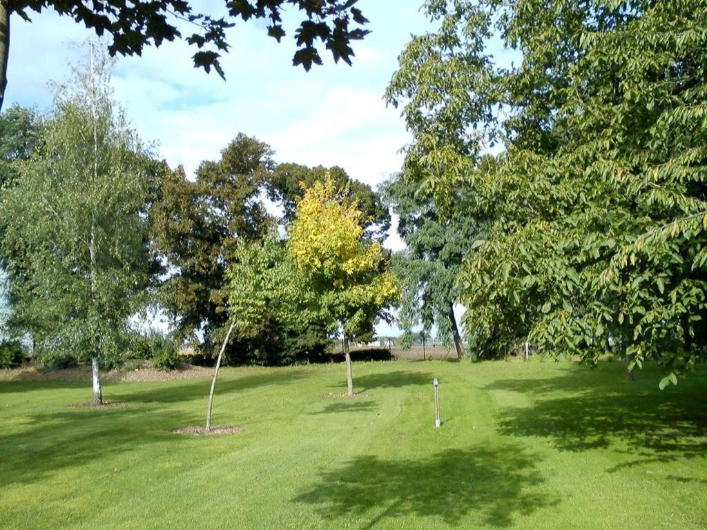 Pension Zum Engel Hotel Maagdenburg Buitenkant foto